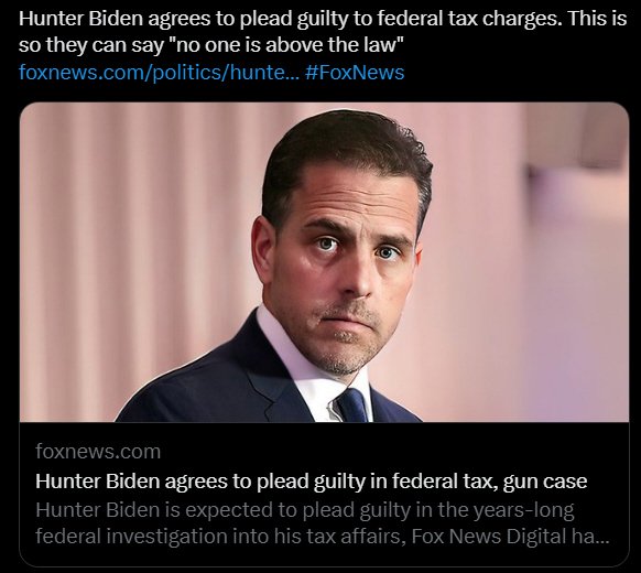 Hunter Biden Agrees To Plead Guilty To Federal Tax Charges... - The ...